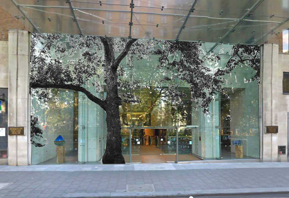 Shan Hur, Berkeley Tree, 2013