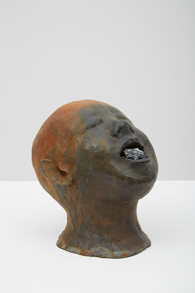 Giovanni Ozzola, Una testa e un universo senza titolo, 4, 2015