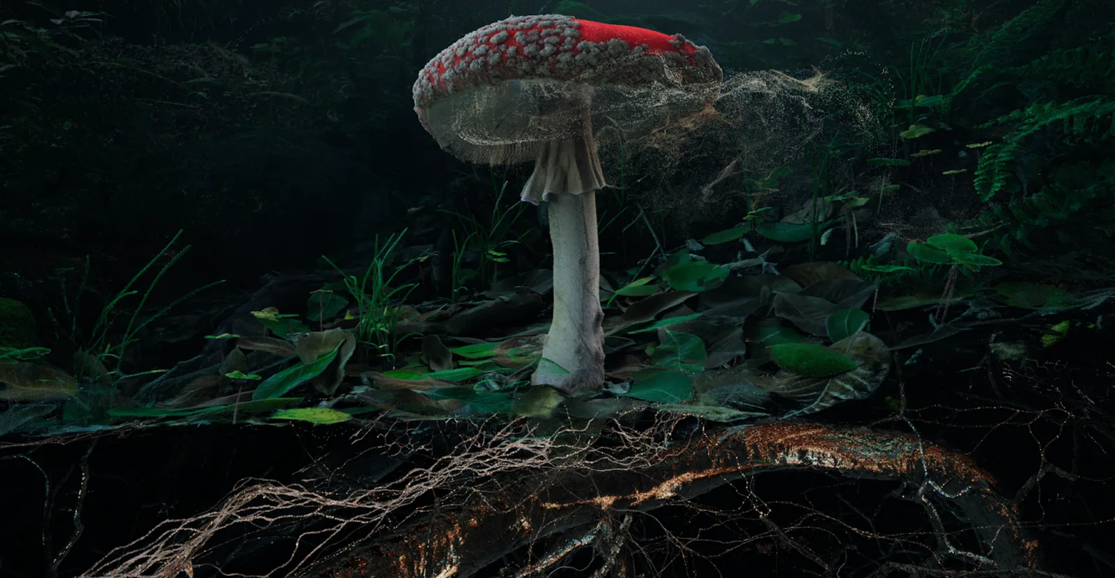 Marshmallow Laser Feast, Poetics of Soil: Fly Agaric I, 2024