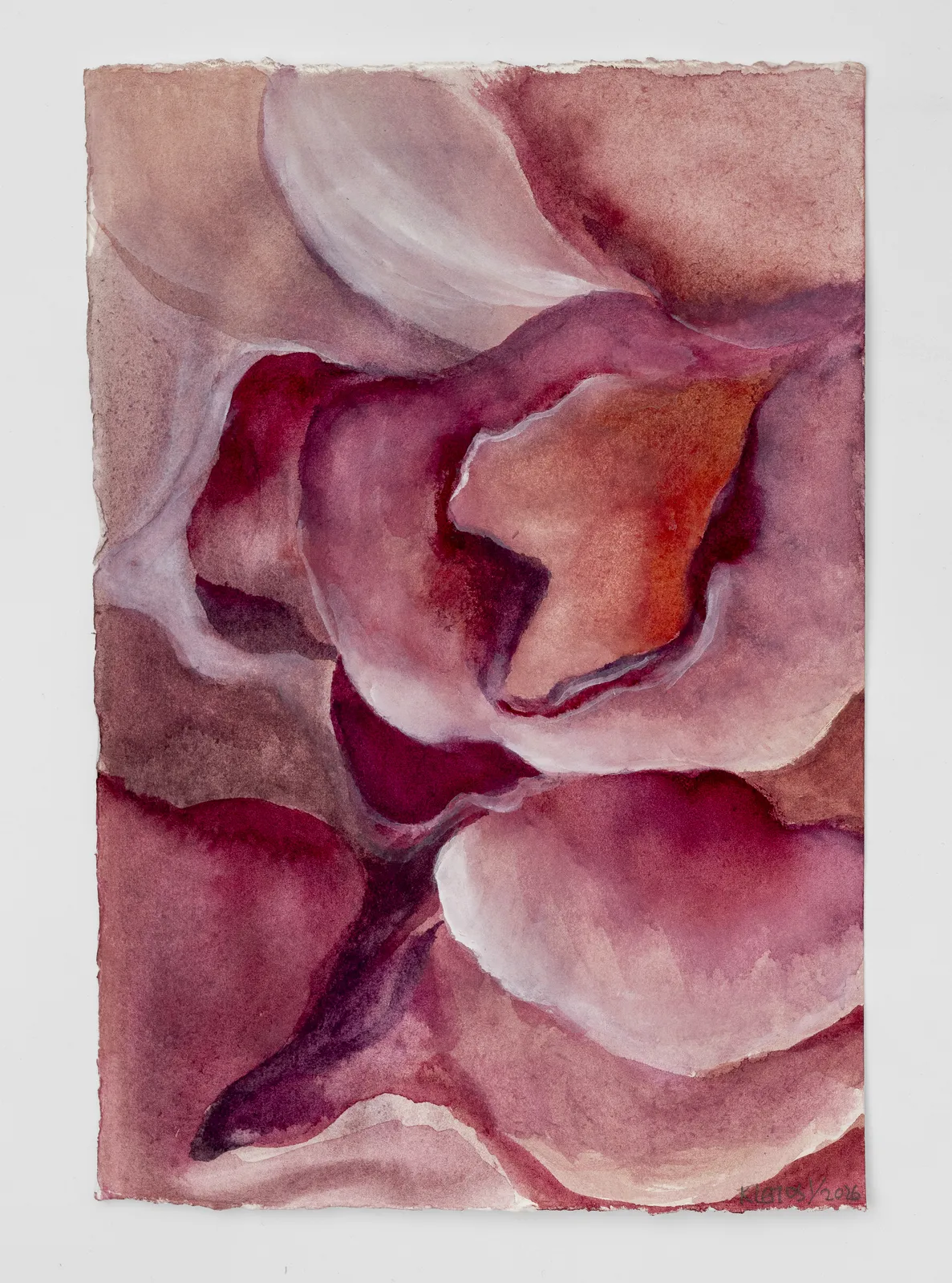 Kalliopi Lemos, New Insights 12, 2026