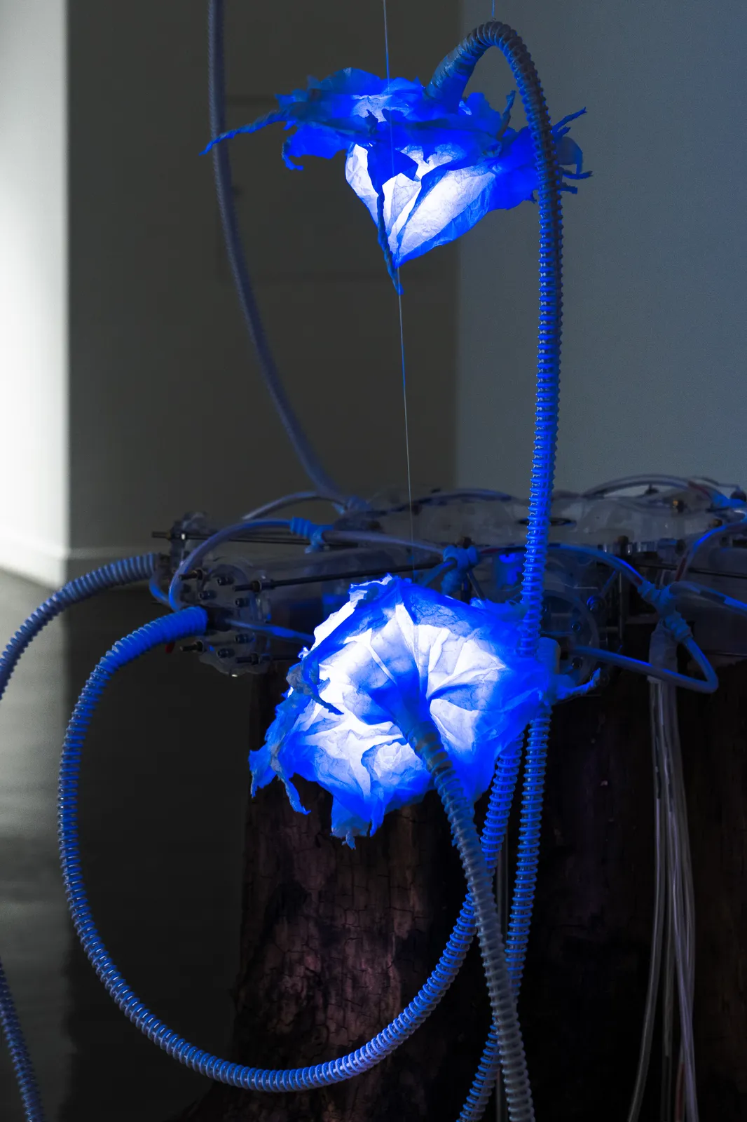 Elnara Nasirli, Air Oasis: BreathCore-7, 2024