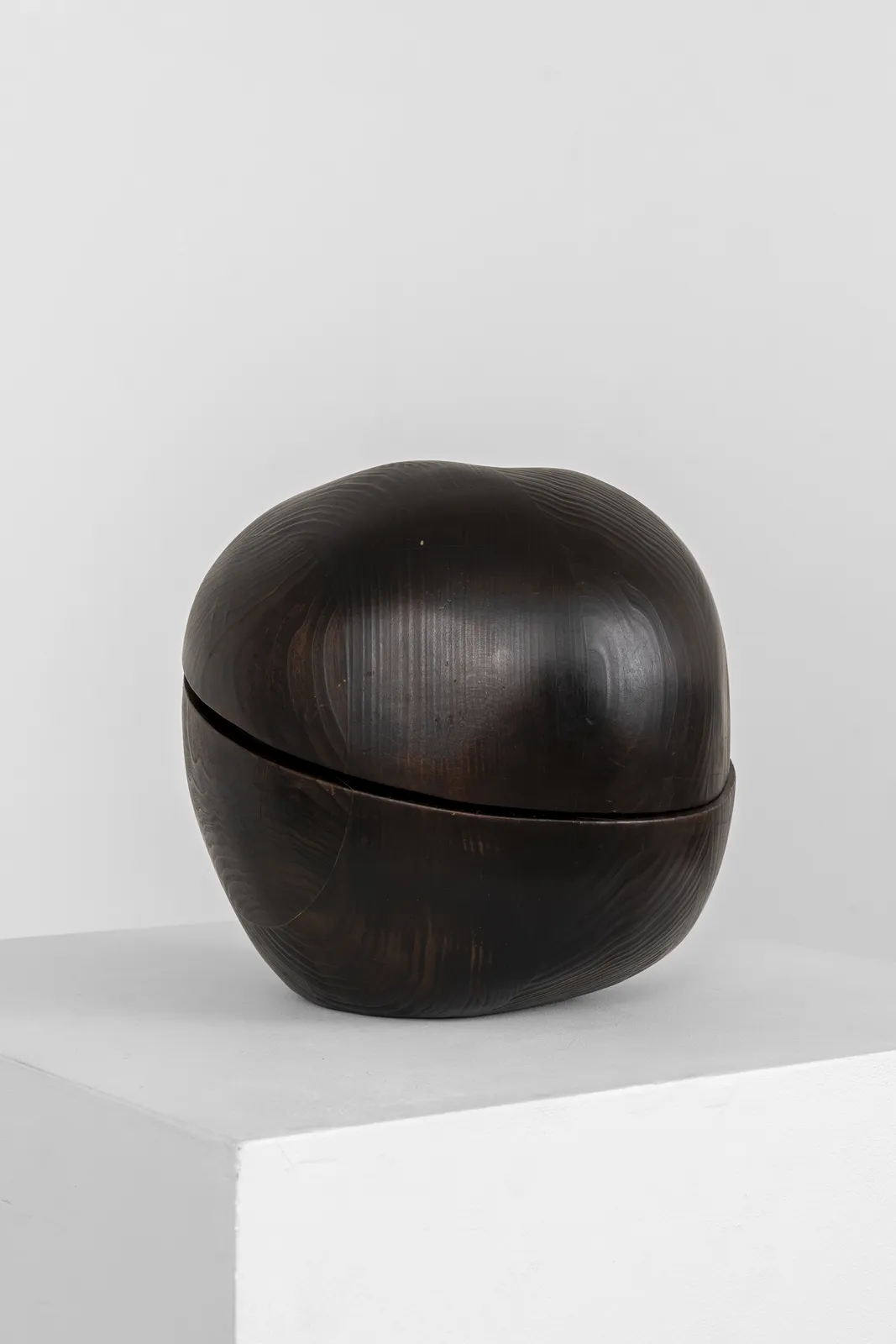 Kalliopi Lemos, Snakes and Apples #1, 2012