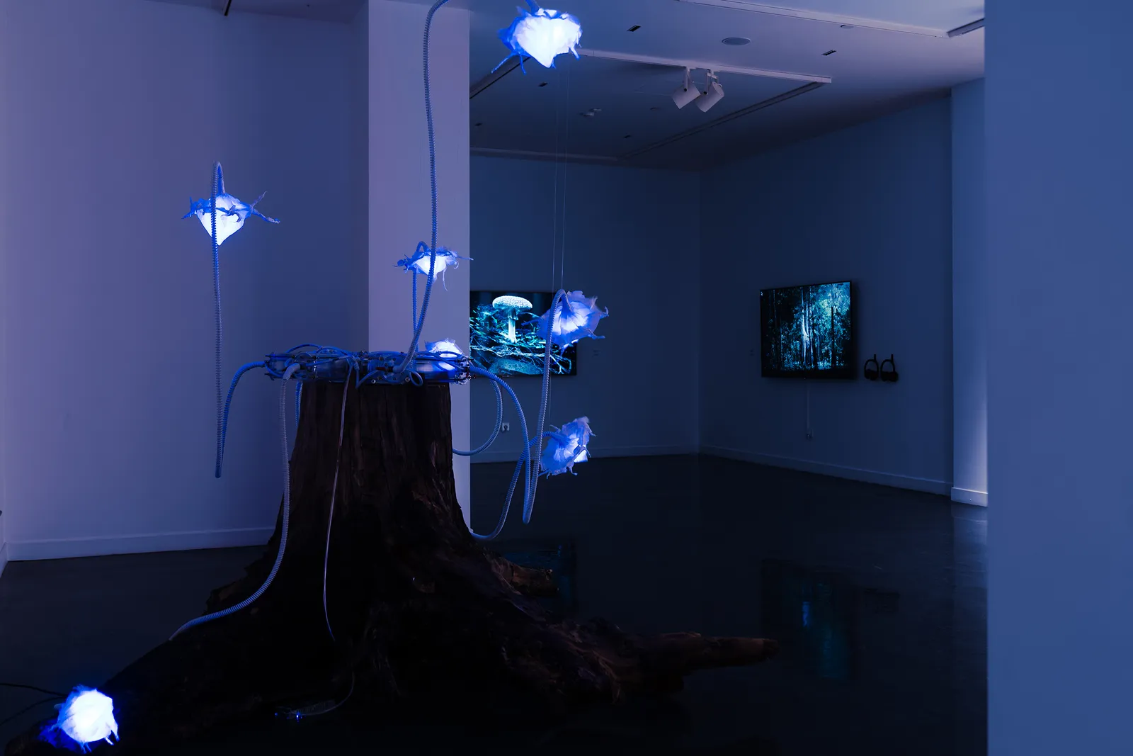 Elnara Nasirli, Air Oasis: BreathCore-7, 2024