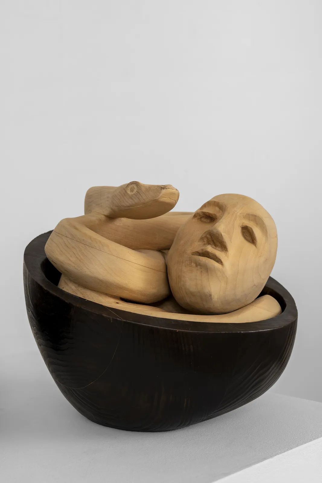 Kalliopi Lemos, Snakes and Apples #1, 2012