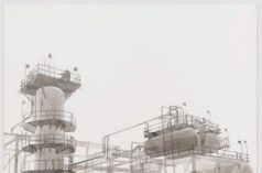 Roxy Paine, Untitled, 2014