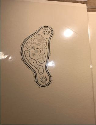 Golan Levin, Cytographia #0, 2024