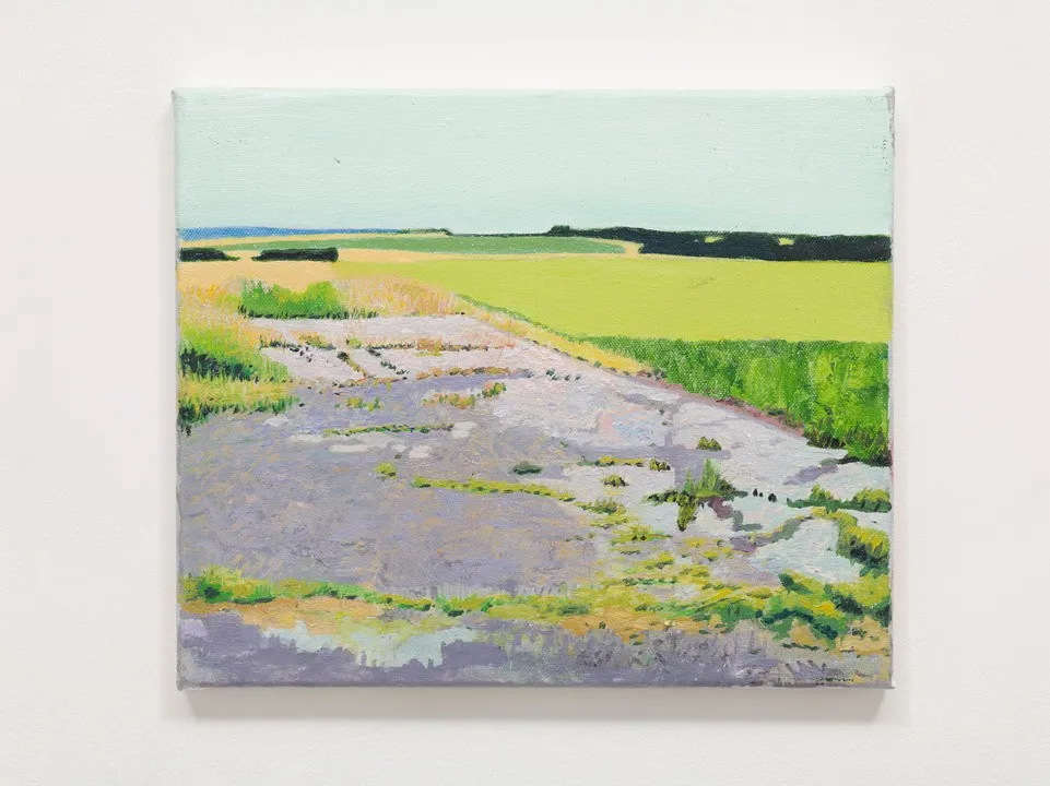 Iain Nicholls, Dearne Valley (Cat Hill Old Road), 2017