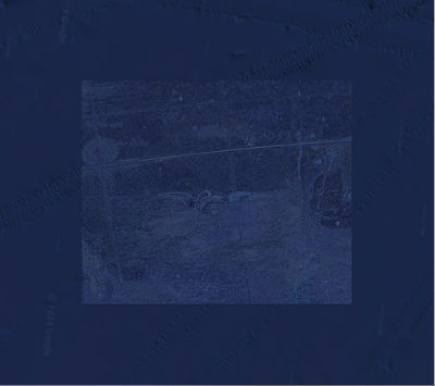 Liliana Farber, Ungovernable, 2024