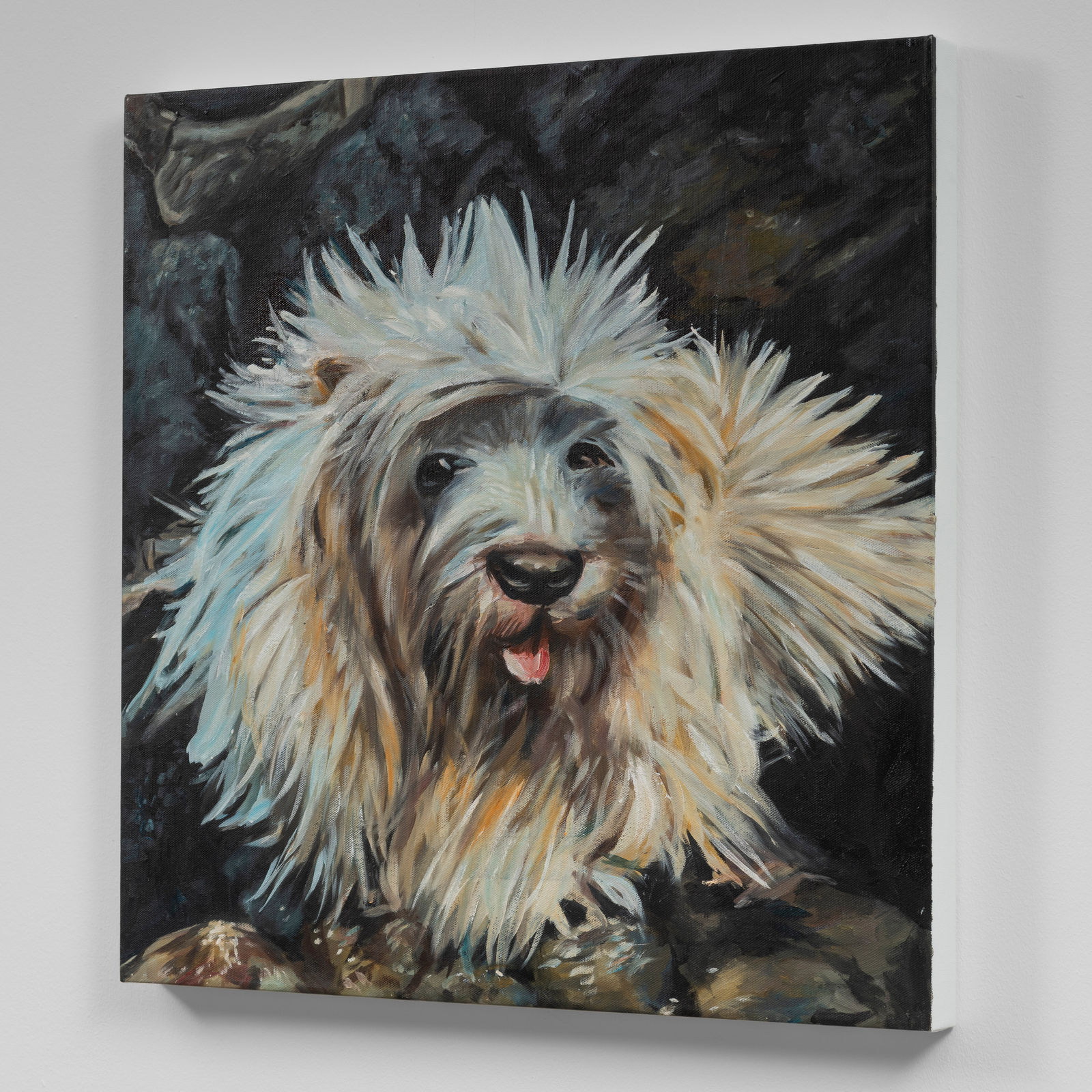 Alexander Reben, A Brown and White Dog Laying on Top of a Couch, 2019