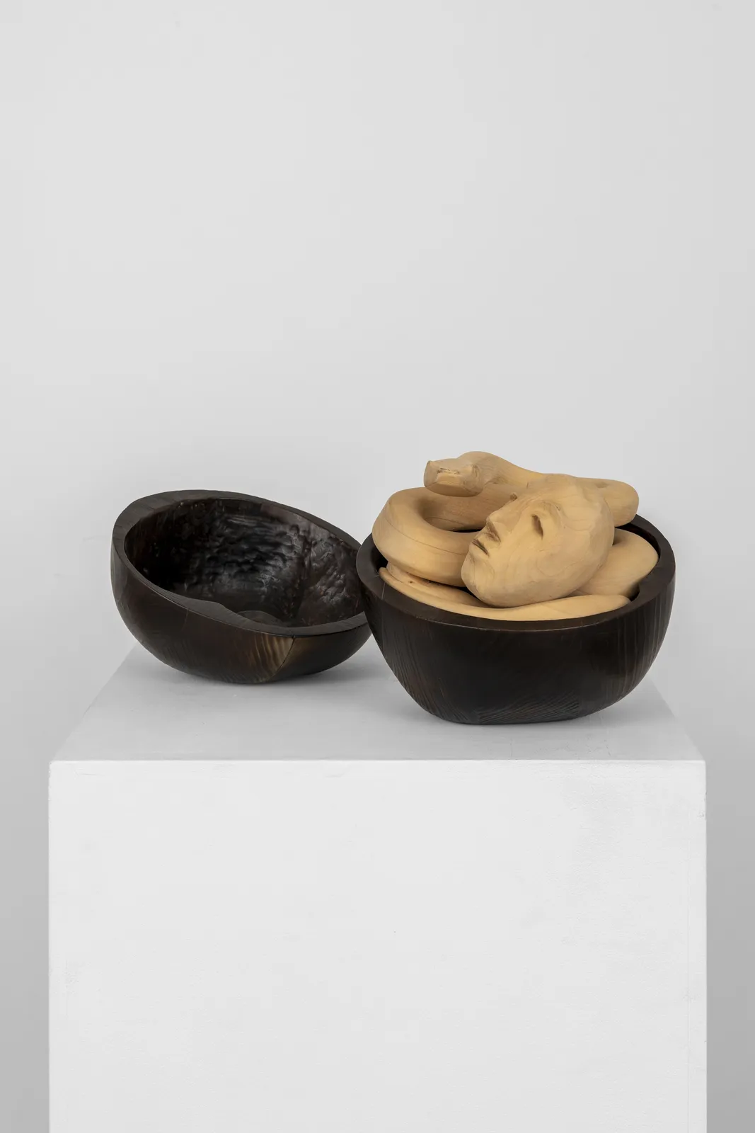 Kalliopi Lemos, Snakes and Apples #1, 2012