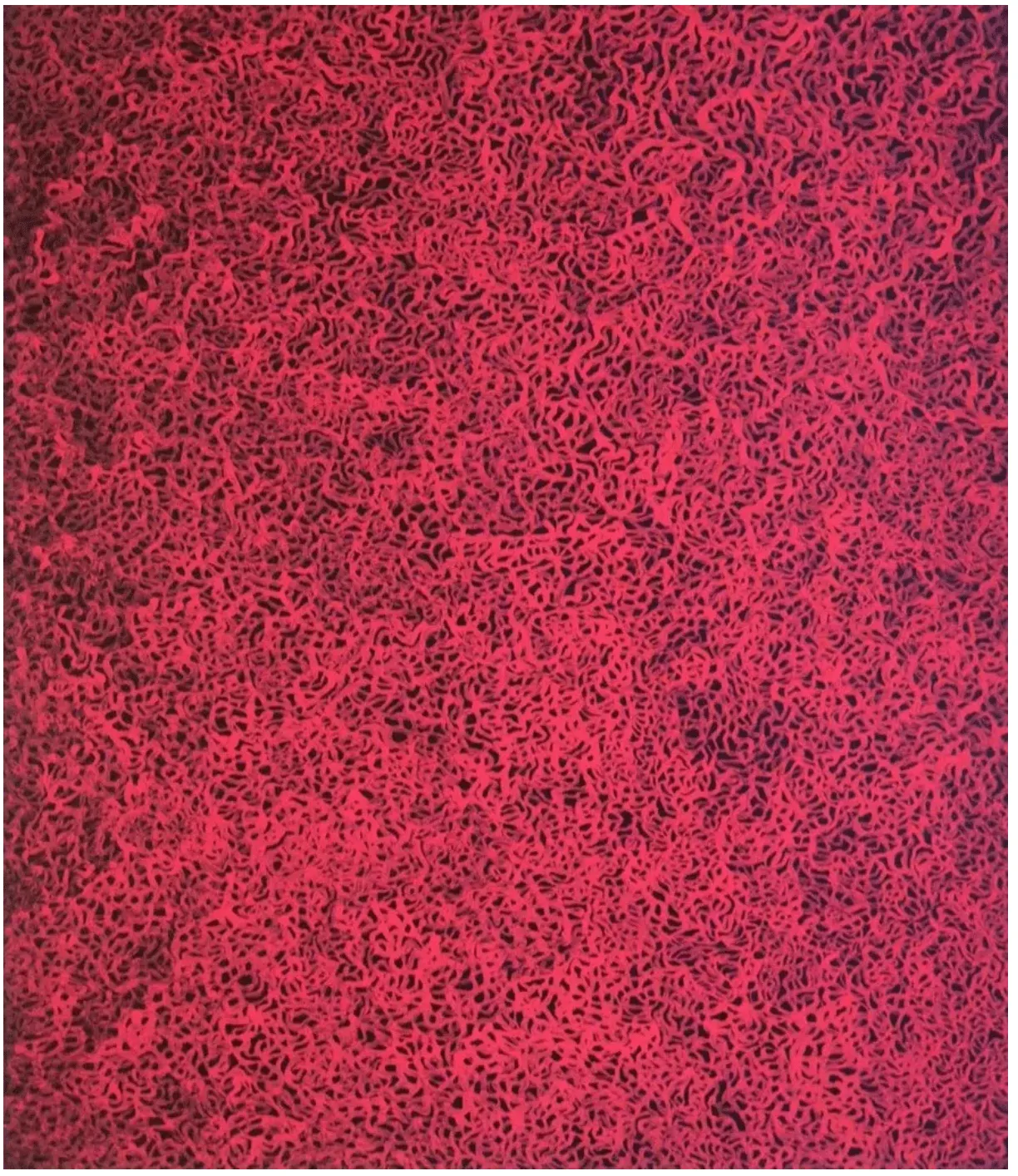 Yayoi Kusama, Rain In The Evening Glow, 1992