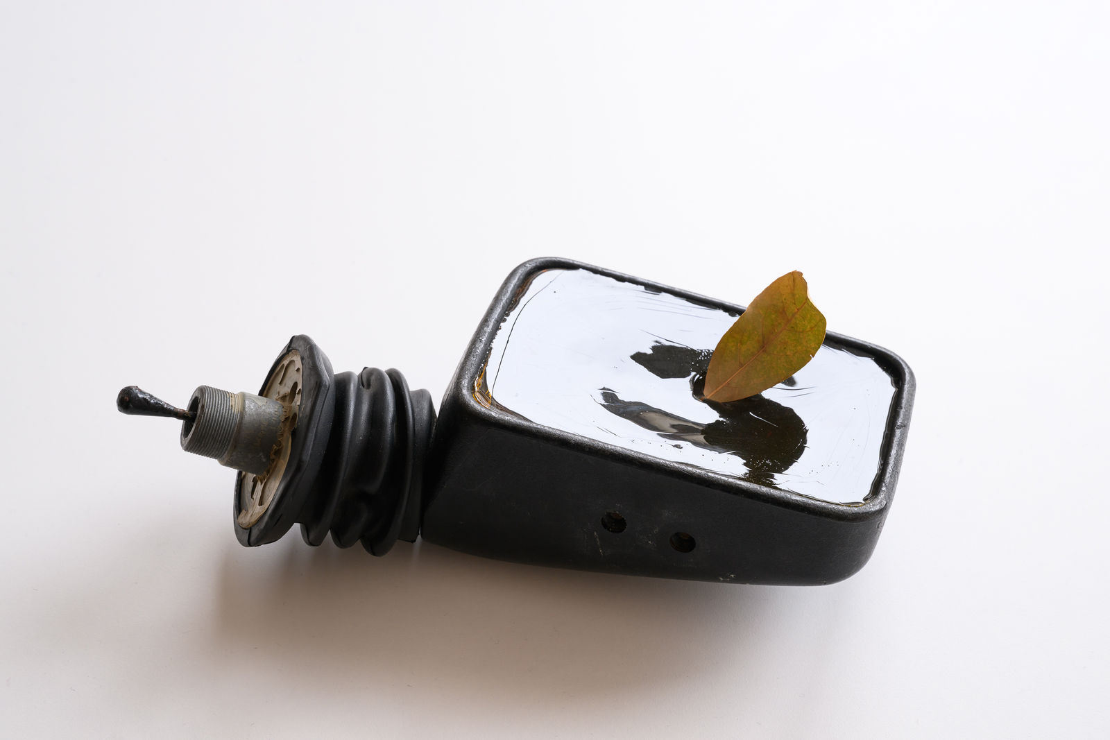 Natalya Marconini Falconer, Wing mirror portal, 2024