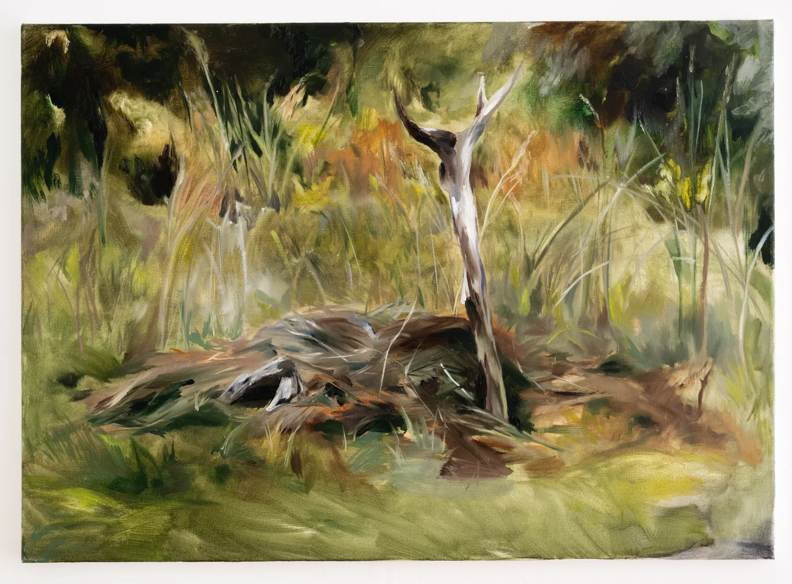 Alina Zamanova, In the quiet, grief became a keepsake, 2025