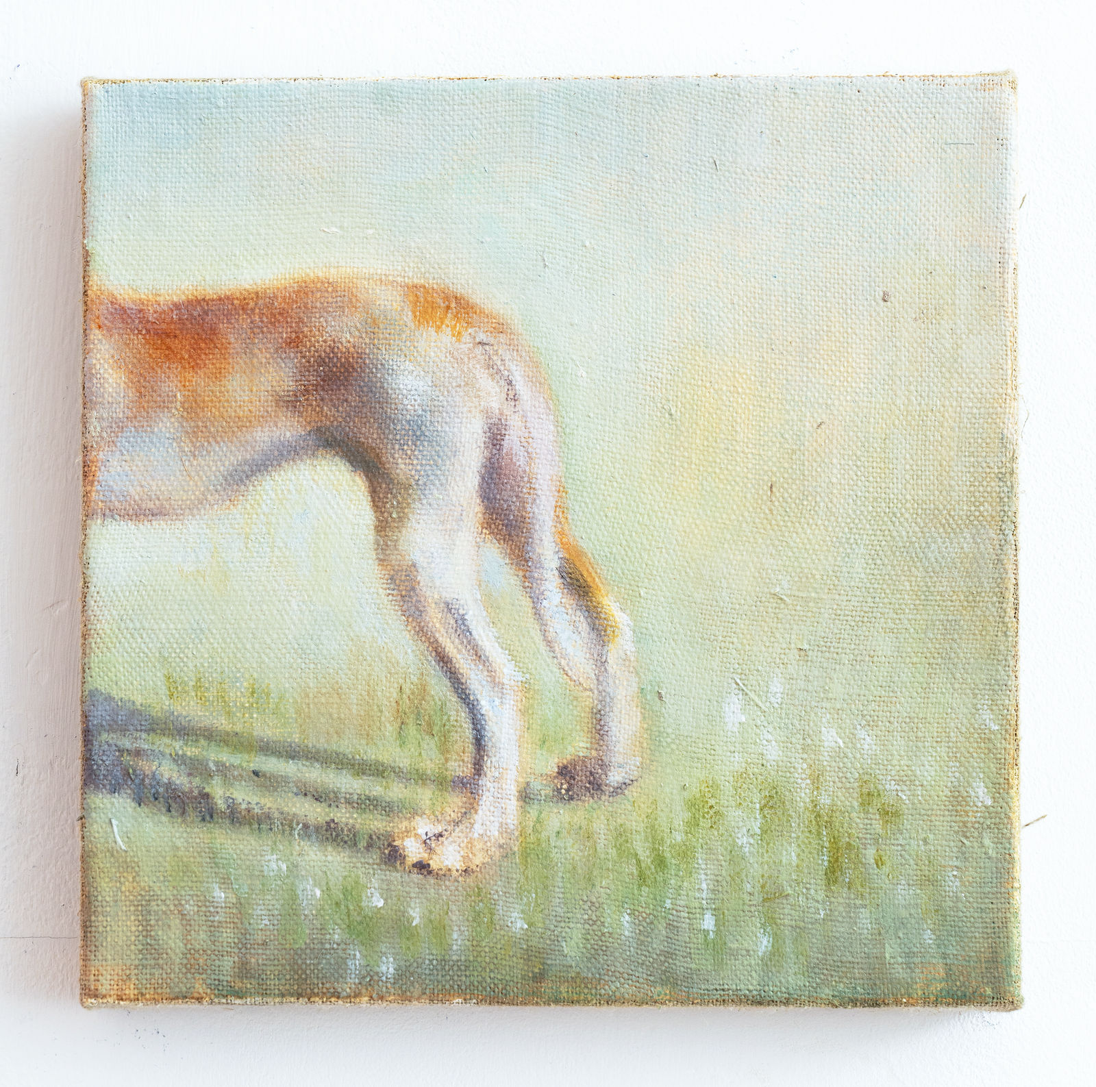 Ranny Macdonald, The Search for What is Not Lost, 2024