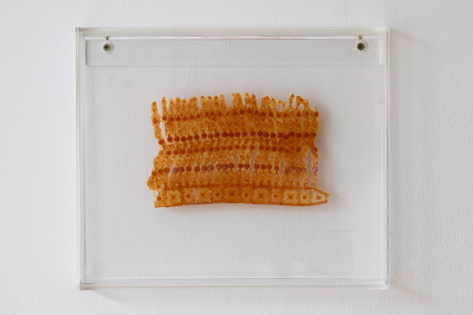 Roudhah Al Mazrouei, Murtaasha, 2025