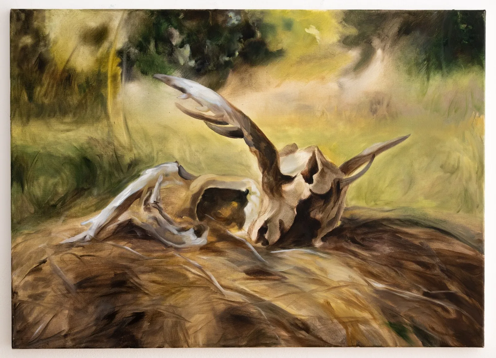 Alina Zamanova, Field of stillness, 2026