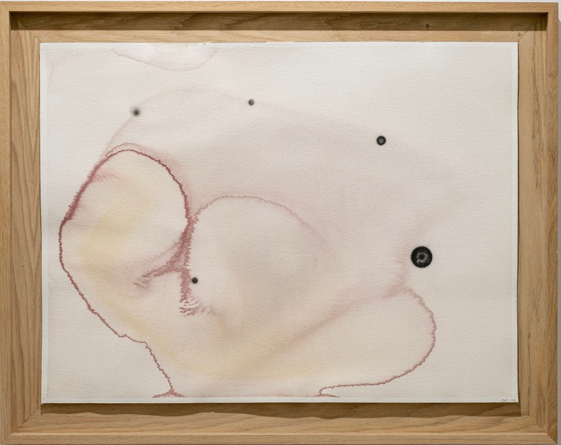 Anna Rún Tryggvadóttir, Magnetic Allure, 2023