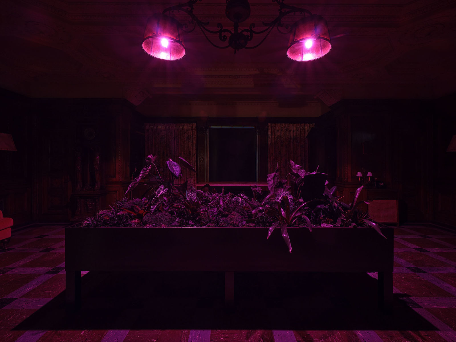 Max Hooper Schneider, Erotic Wellspring Within the Void (Black Plant Garden), 2024