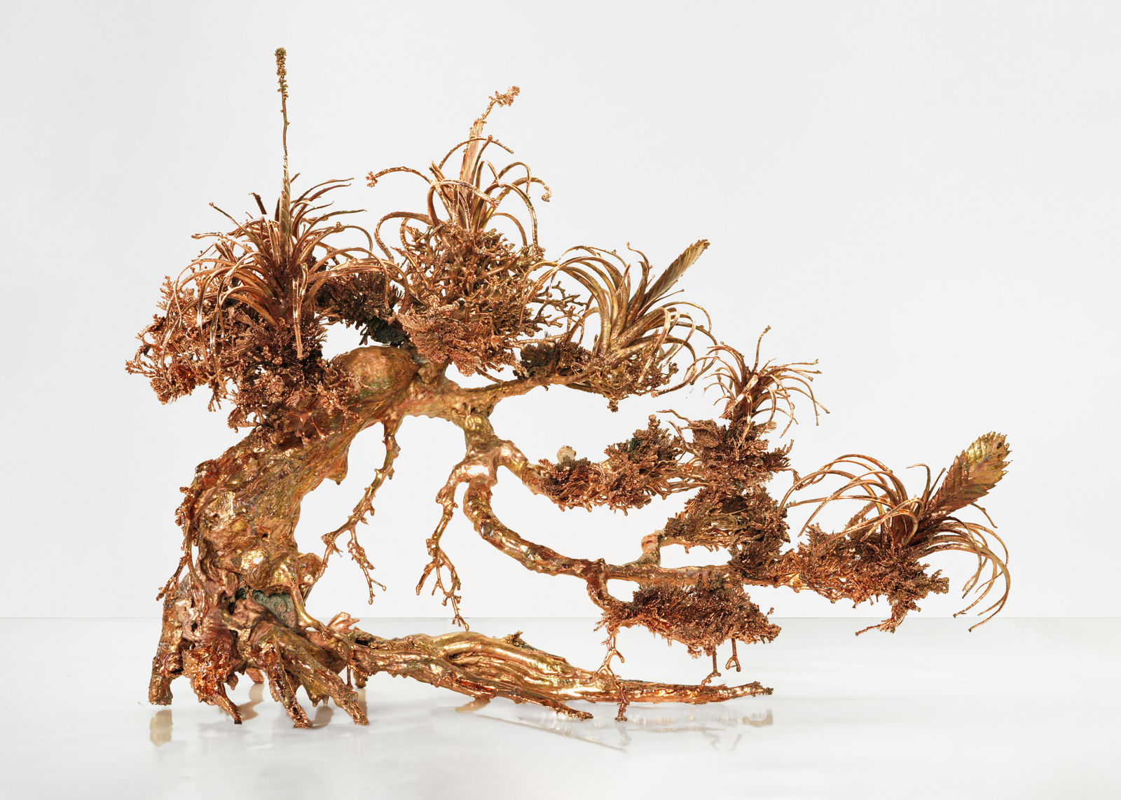 Max Hooper Schneider, Dendrite Bonsai (Flowering Air Plants), 2023