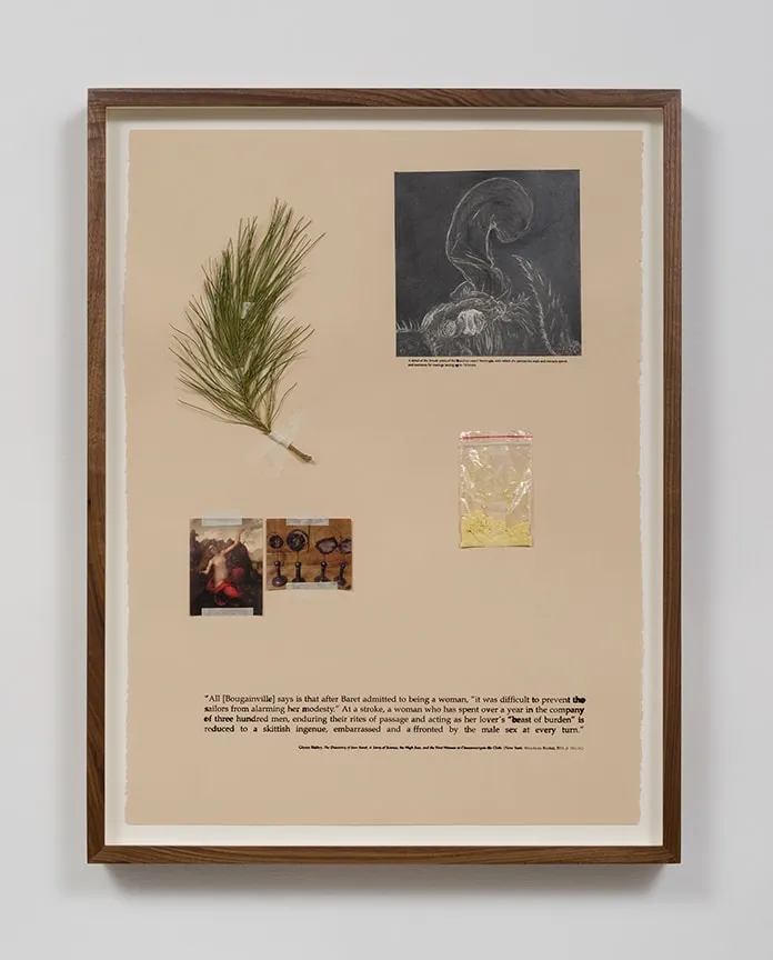 Candice Lin, Female Penis / Beast of Burden, 2015