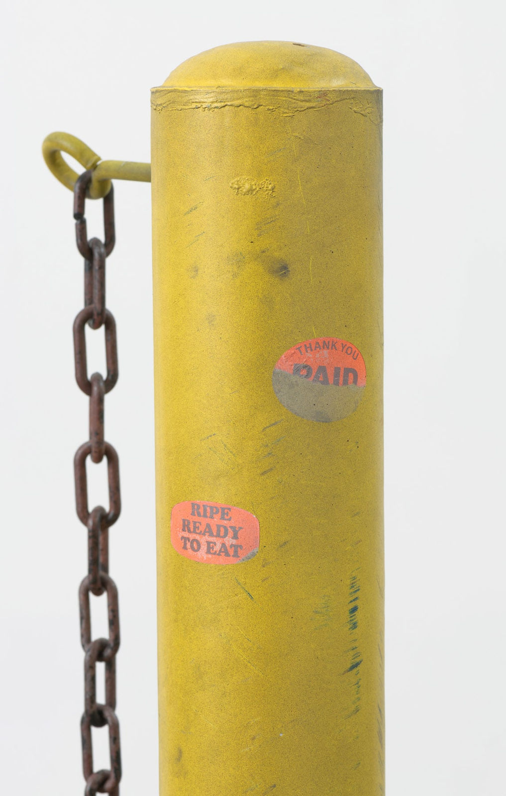 Sayre Gomez, District Manager, 2019