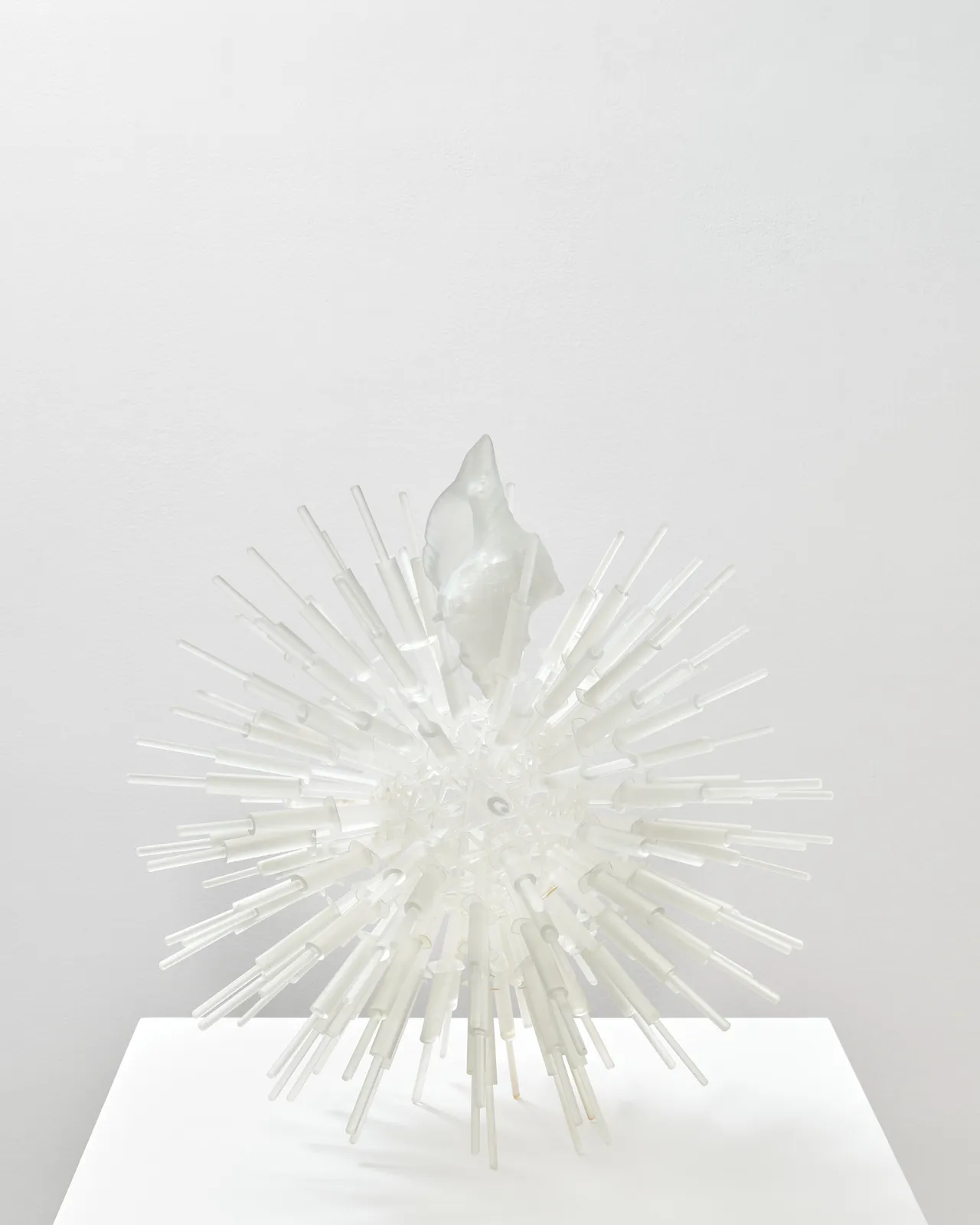 Jeffrey Meris, lambi, 2026