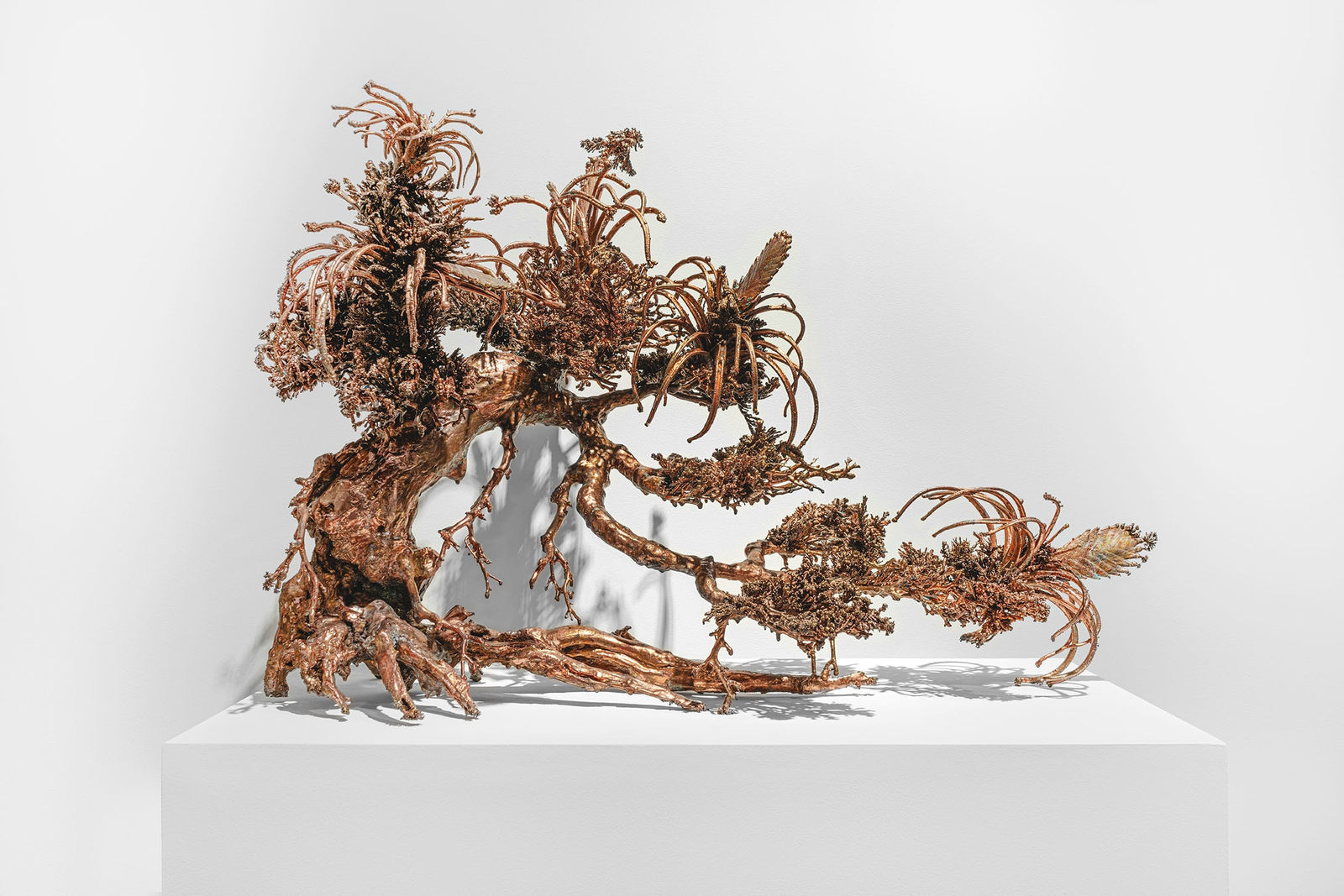 Max Hooper Schneider, Dendrite Bonsai (Flowering Air Plants), 2023