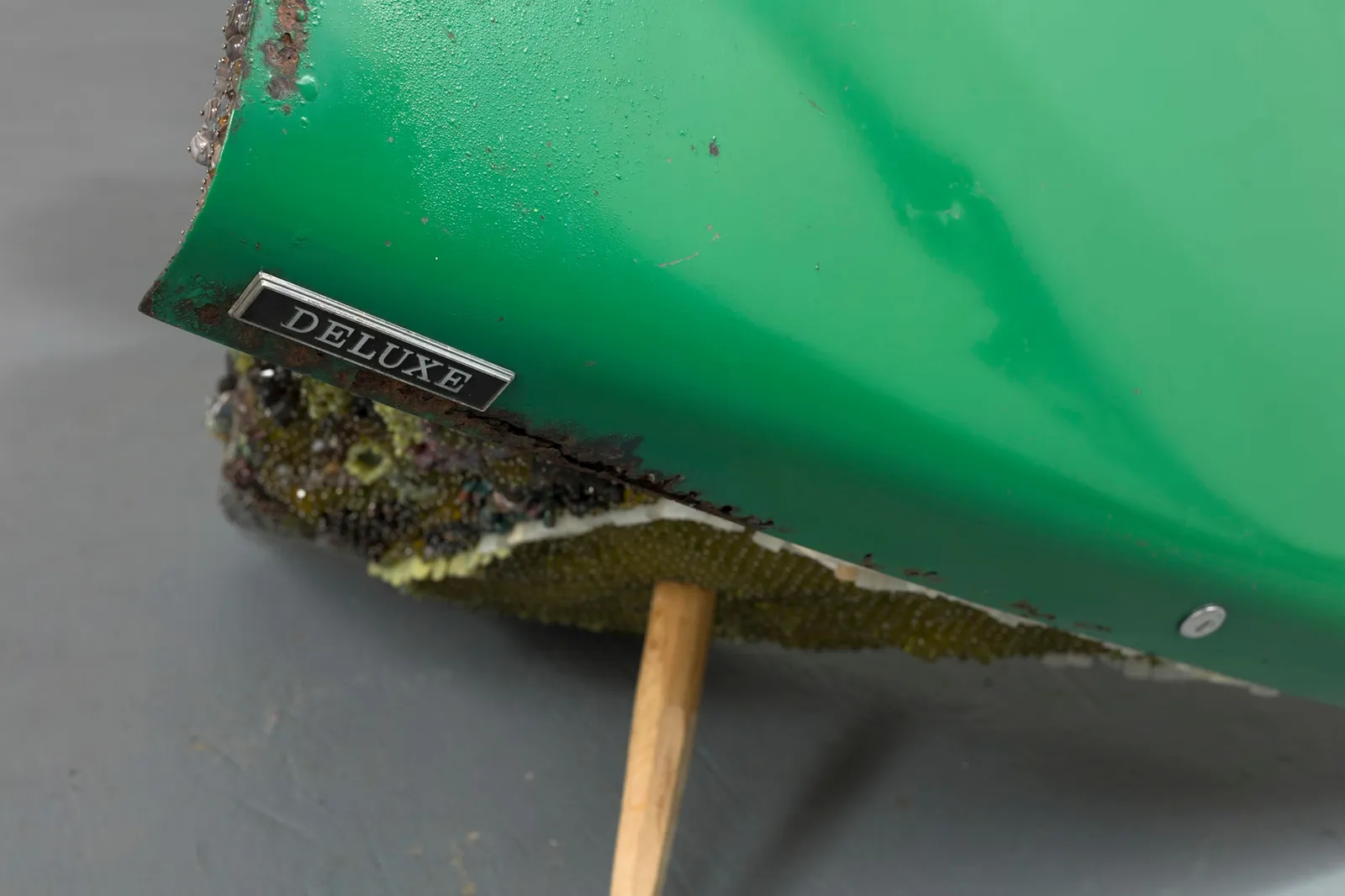 Kathleen Ryan, Deluxe, 2023