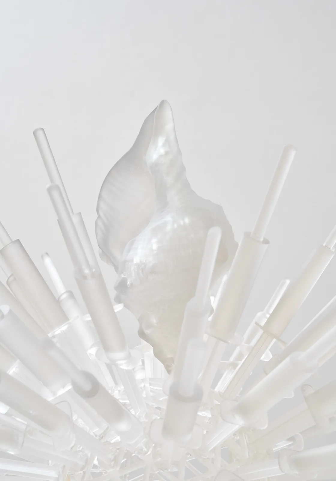 Jeffrey Meris, lambi, 2026