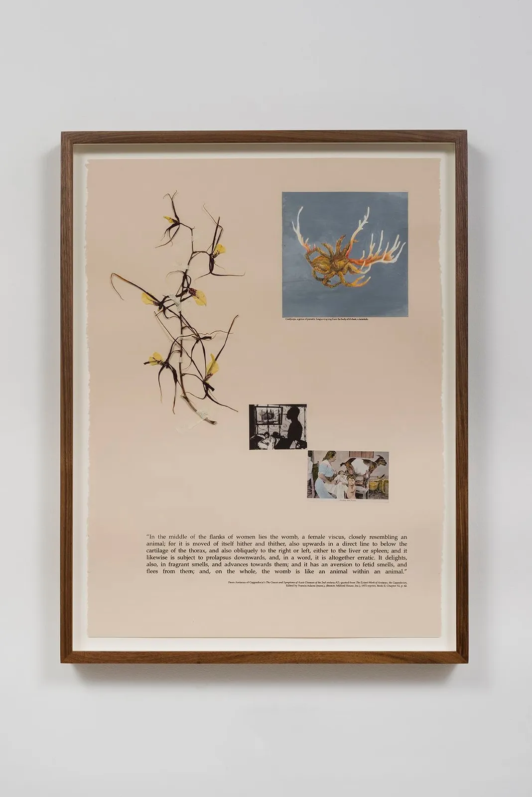 Candice Lin, Animal Within the Animal, 2015