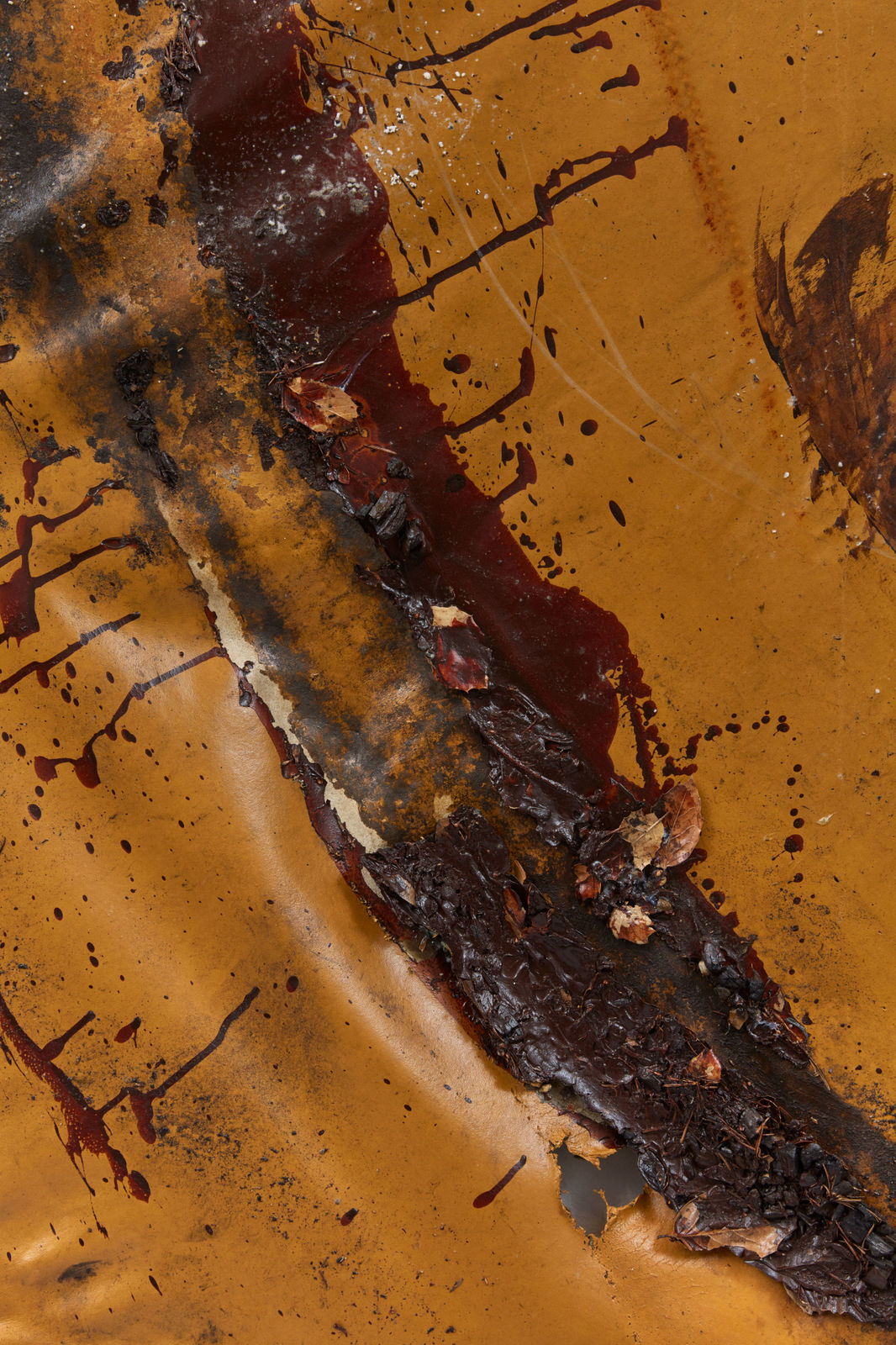 Rindon Johnson, This is the one about how piss can always be cleaned out of carpets., 2021