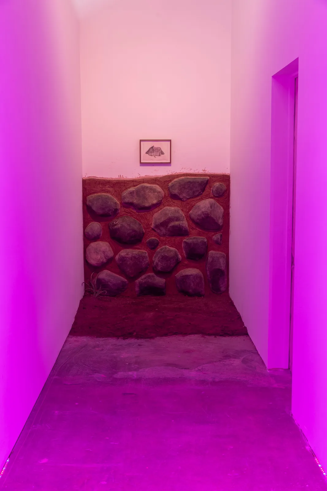 Candice Lin, Exposed Foundation, 2019