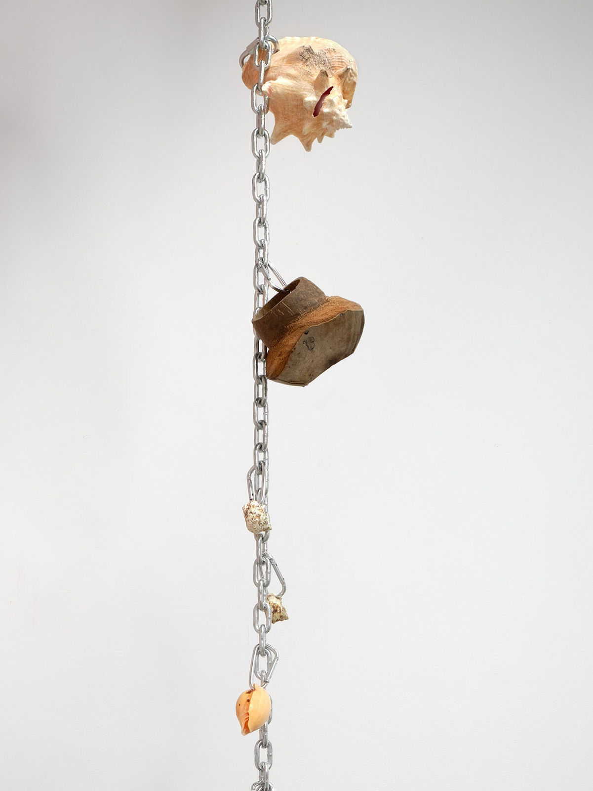 Bony Ramirez, Harvest #2 (Shell), 2022