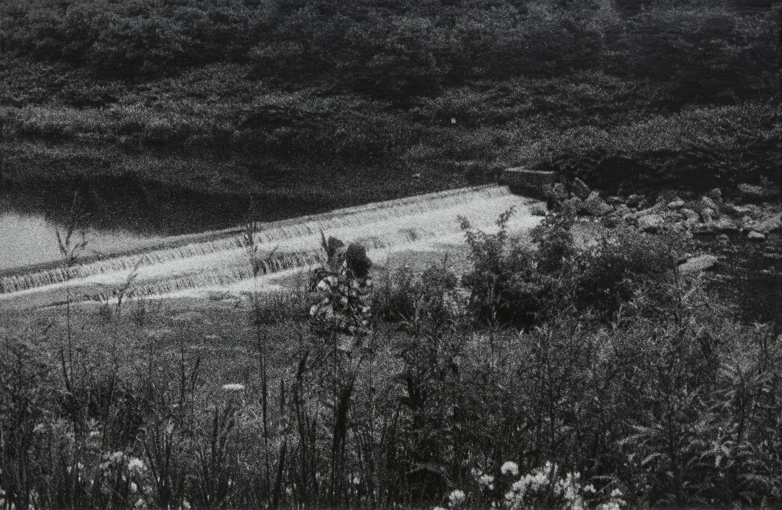 Em Rooney, Tony and Marci Kissing Near the Schoharie River, 2020