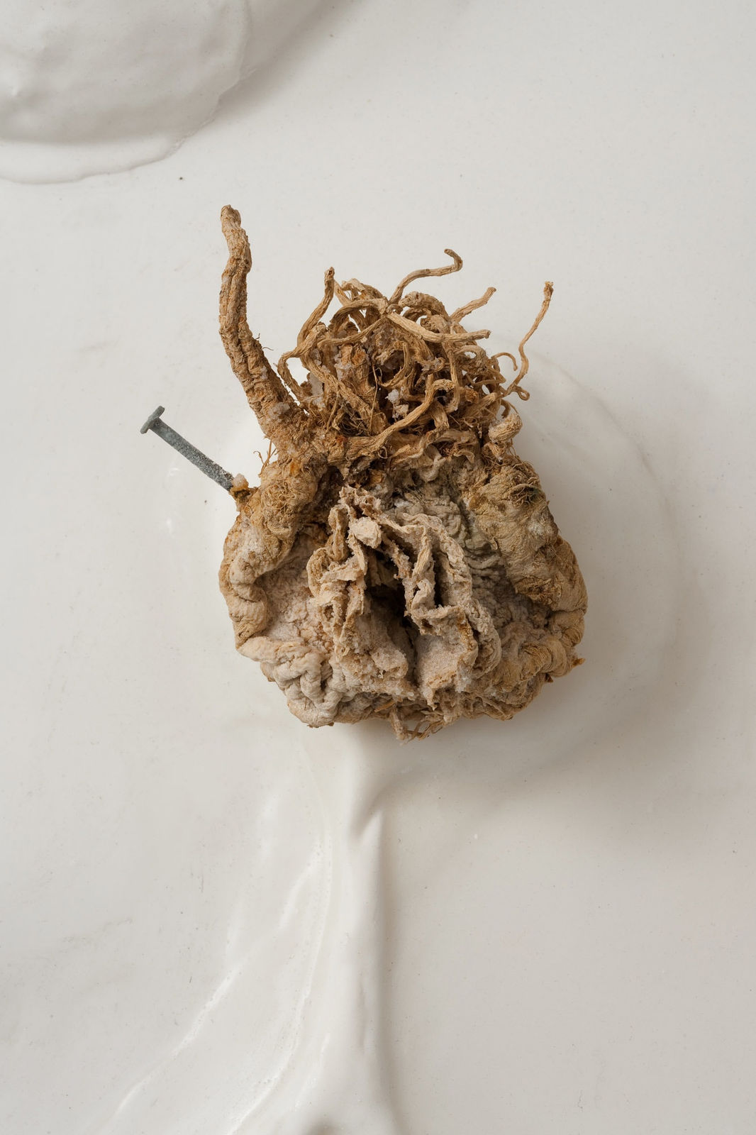 Candice Lin, A Future Ethnography of Power, 2012