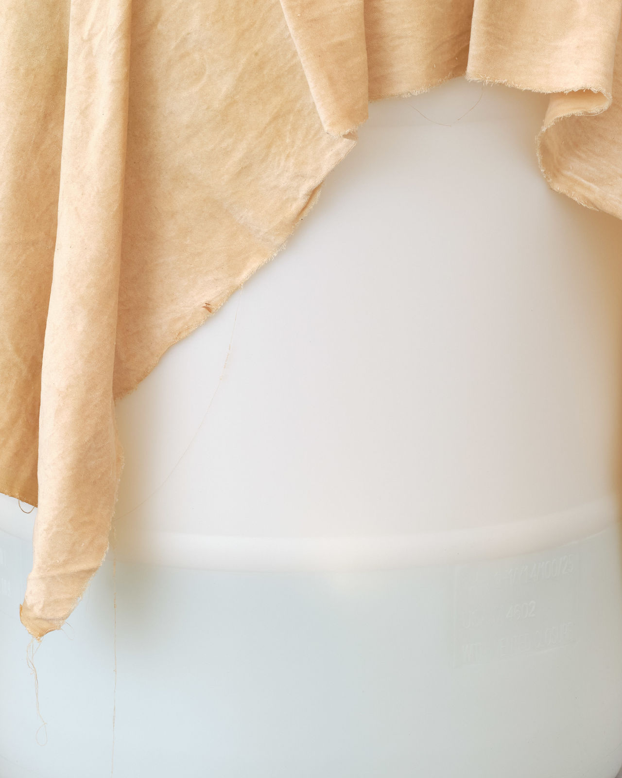 Quay Quinn Wolf, It didn't matter how much I cleaned or how often I refreshed the flowers, 2025