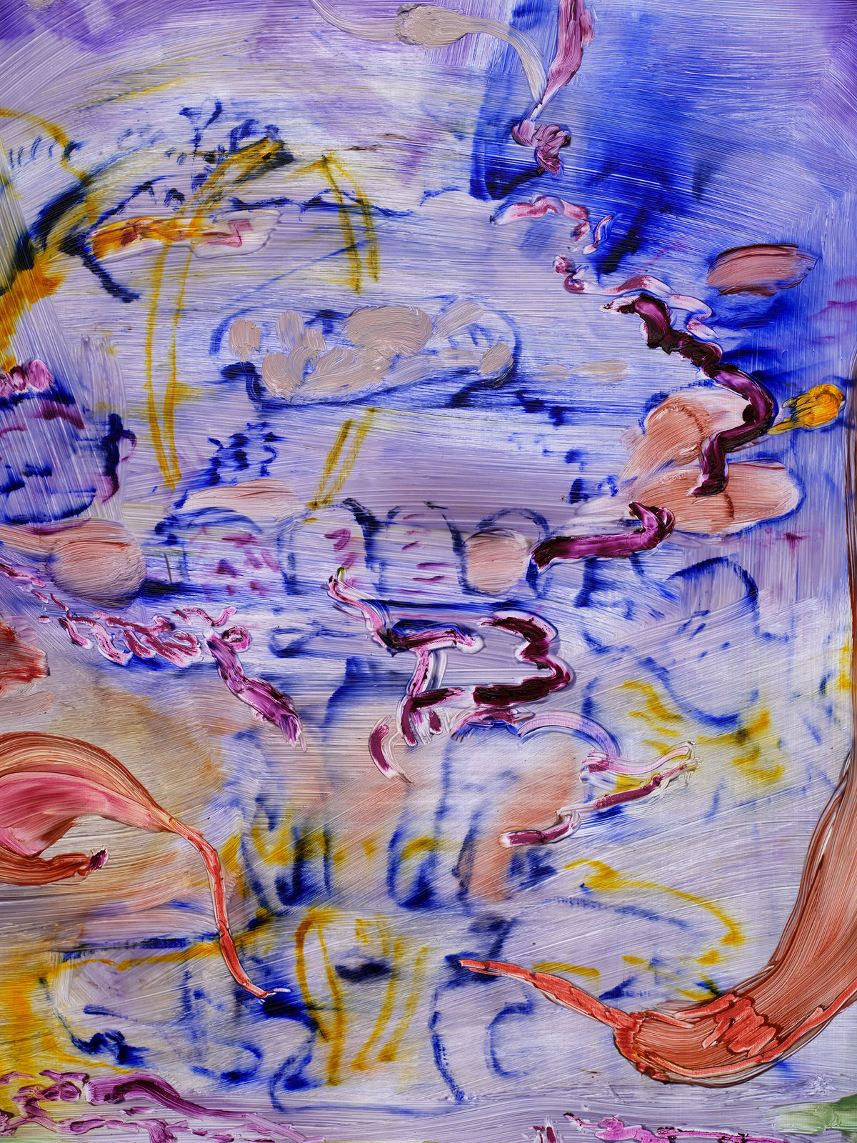 Patricia Iglesias Peco, El tironeaba de los petalos, 2025