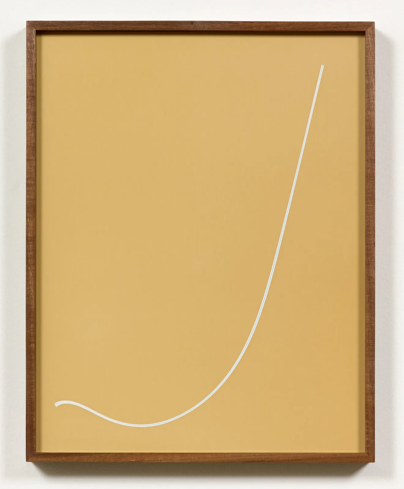Kelly Akashi, Stringer (Amber), 2016