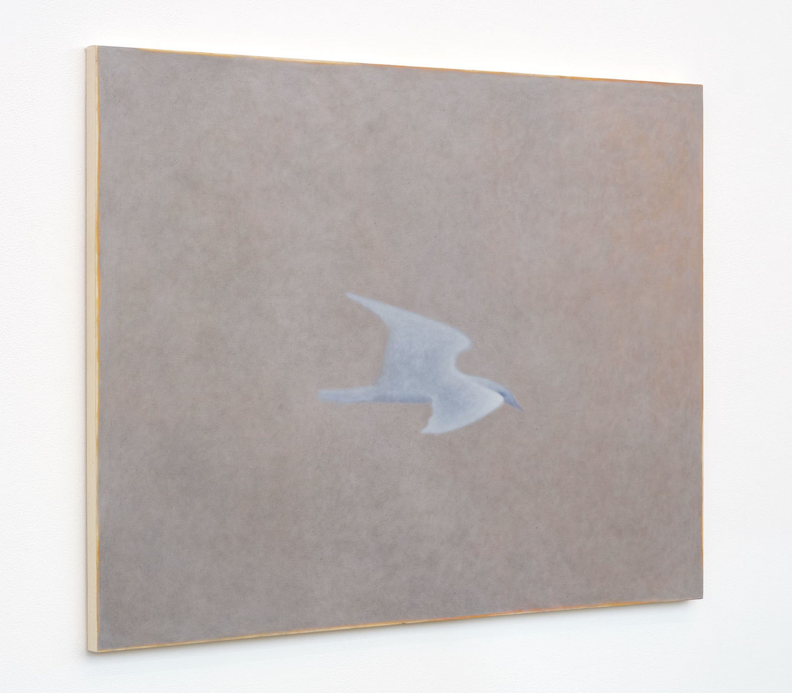 Ian Miyamura, gull in haze, 2024