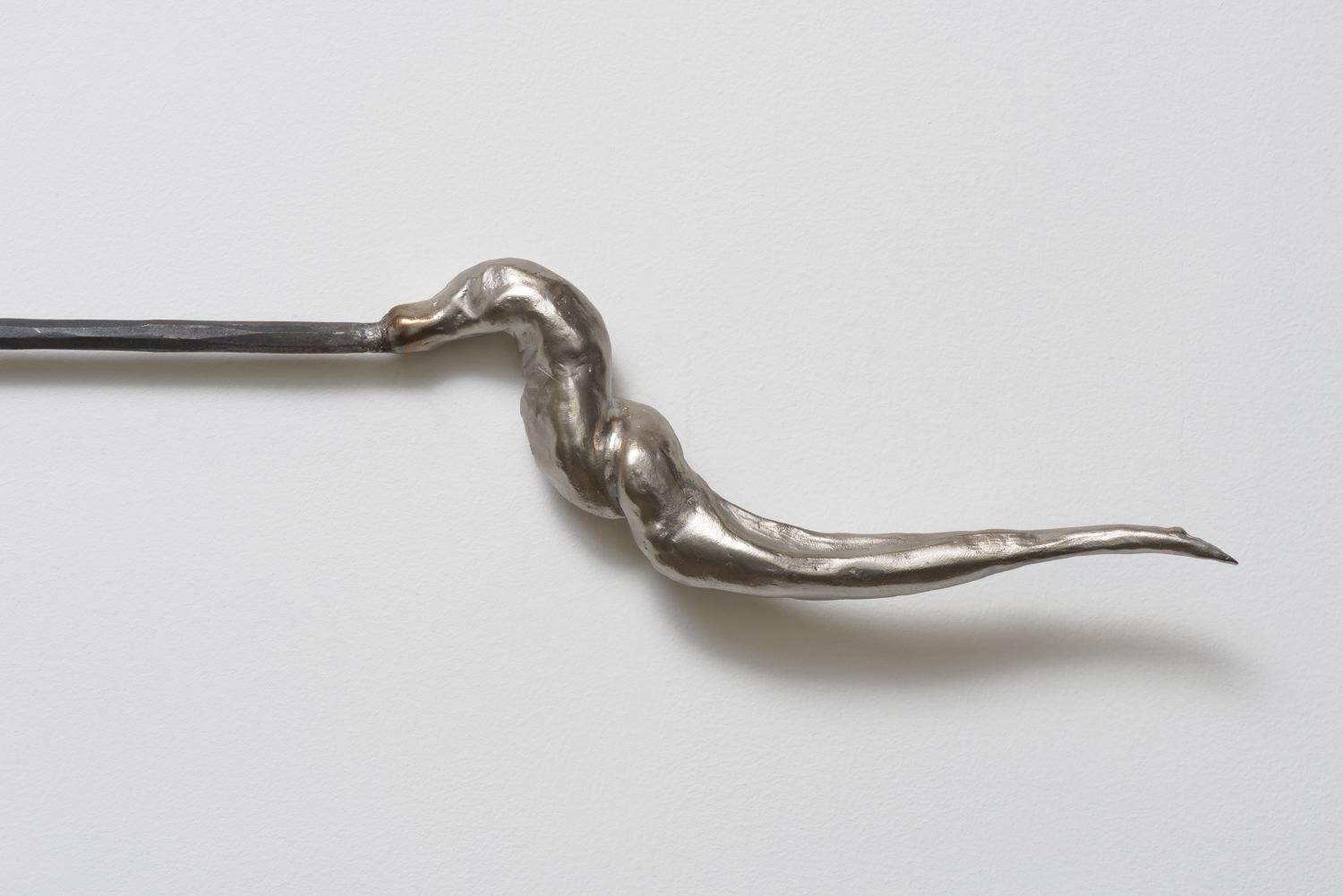 Candice Lin, Coevolution by Traumatic Insemination: Coridromius, 2015