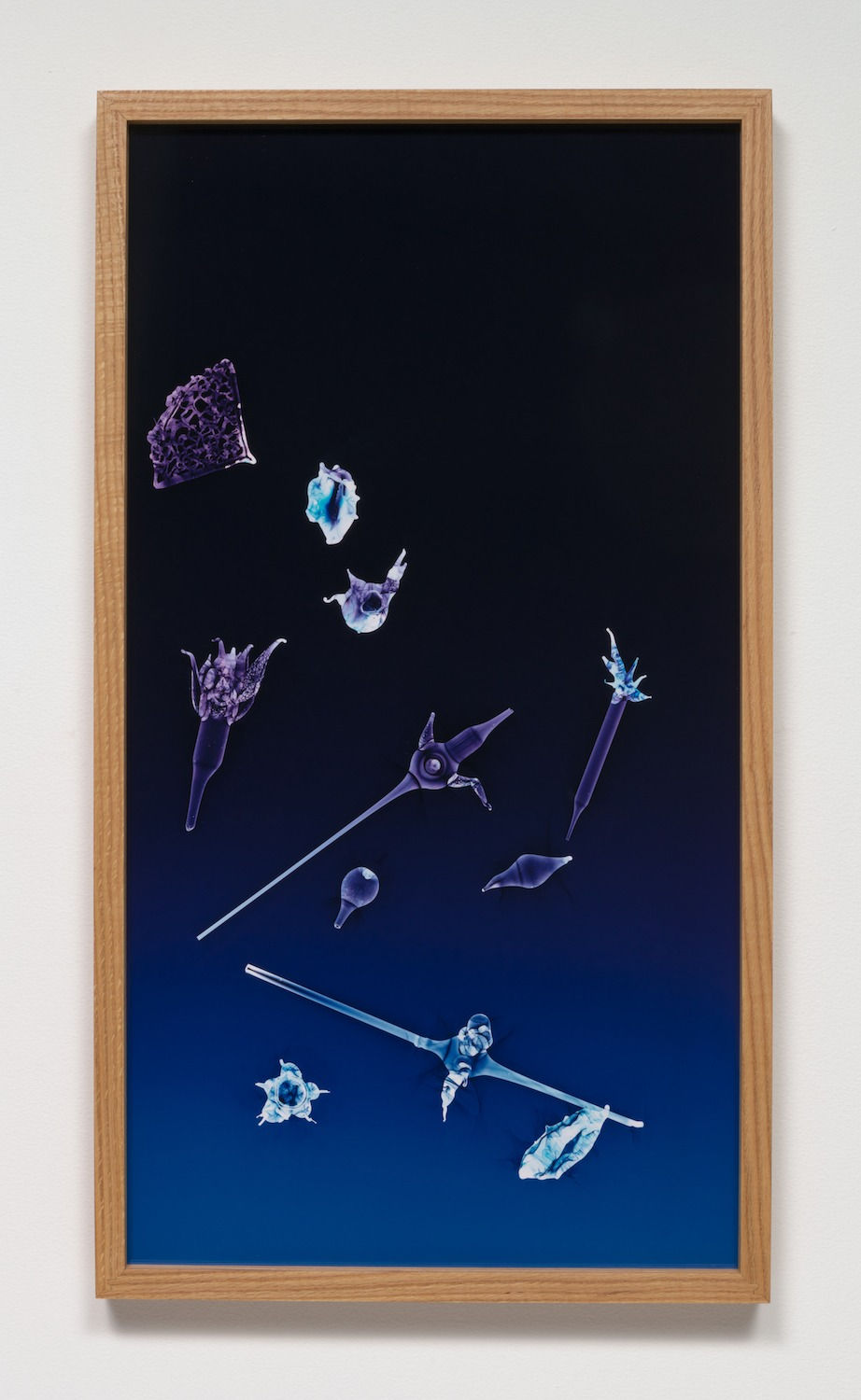 Kelly Akashi, Blue Protean, 2019