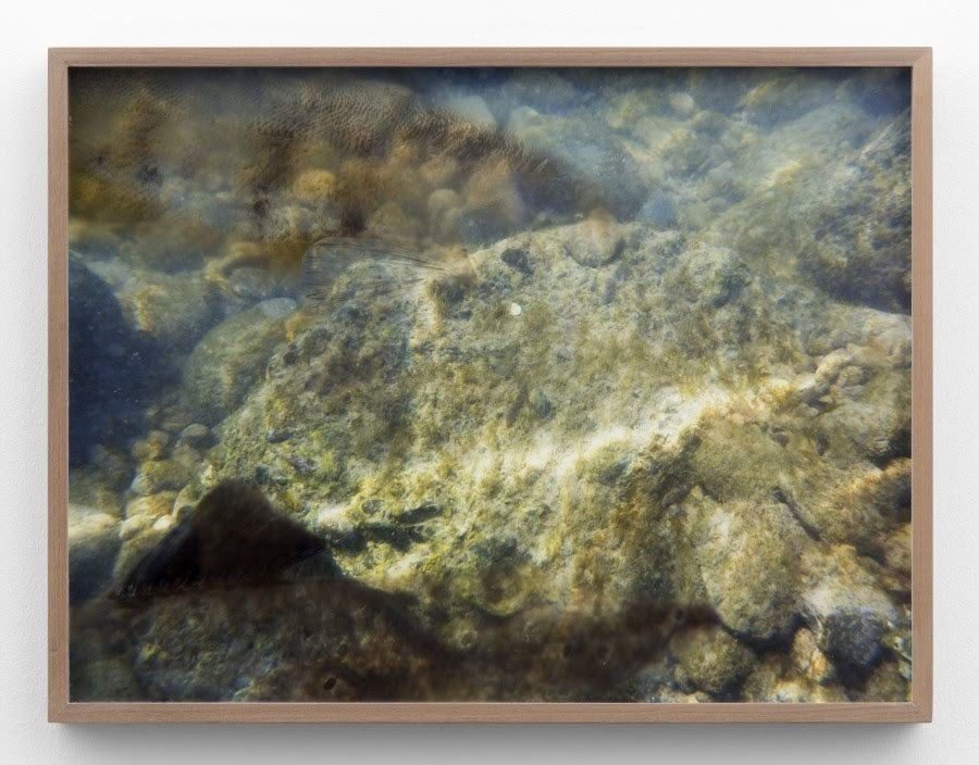 Marina Pinsky, Rhine Riverbed 22, 2015