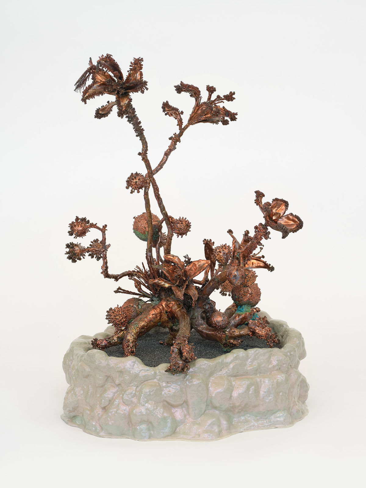 Max Hooper Schneider, Dendrite Bonsai (Lily and Tennis Ball), 2024