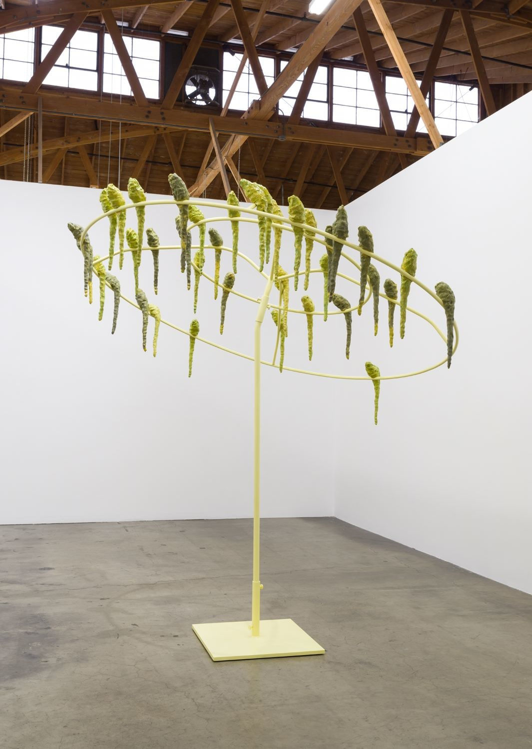 Kathleen Ryan, Parasol, 2017