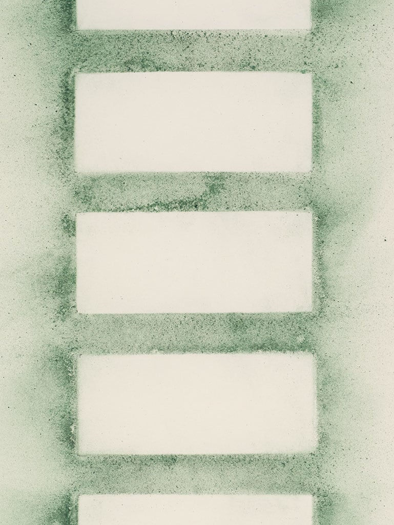 Agustina Woodgate, Wage USA (ink on paper), 2020