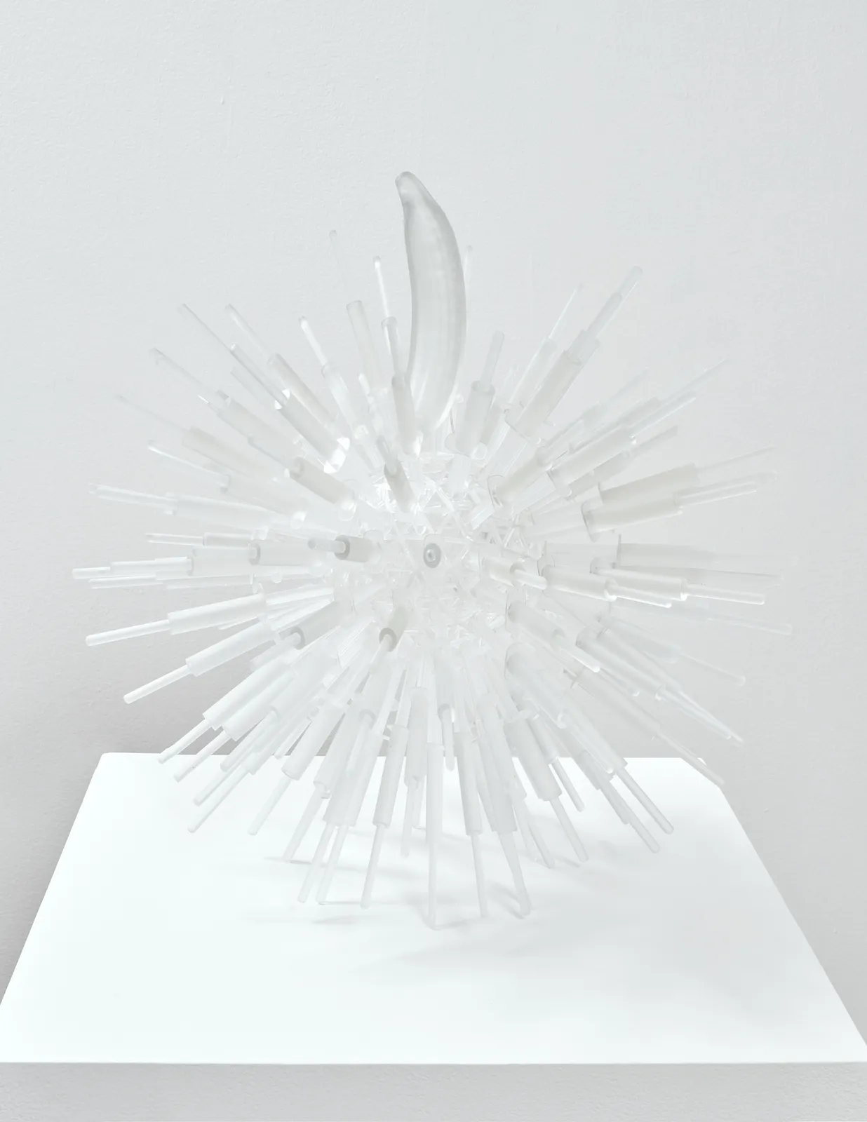 Jeffrey Meris, banan, 2026