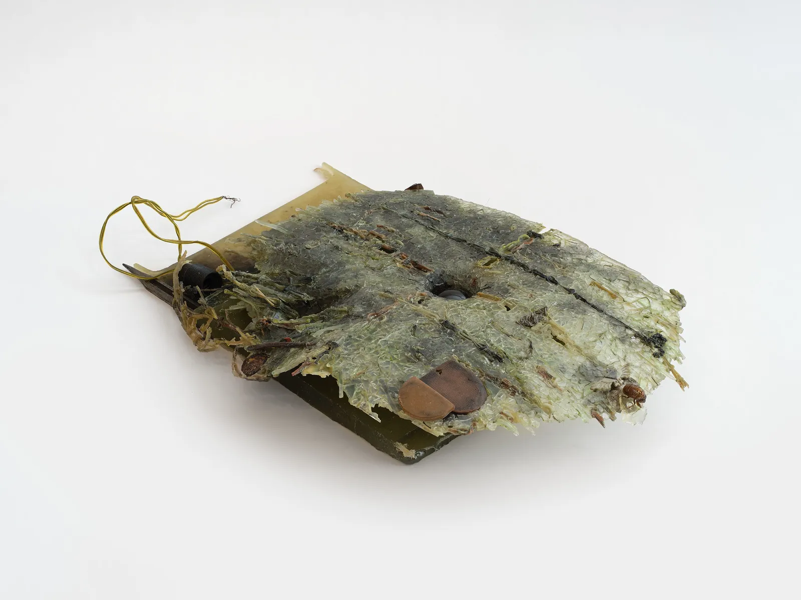 Hanna Umin, Septimus (Pitch), 2025