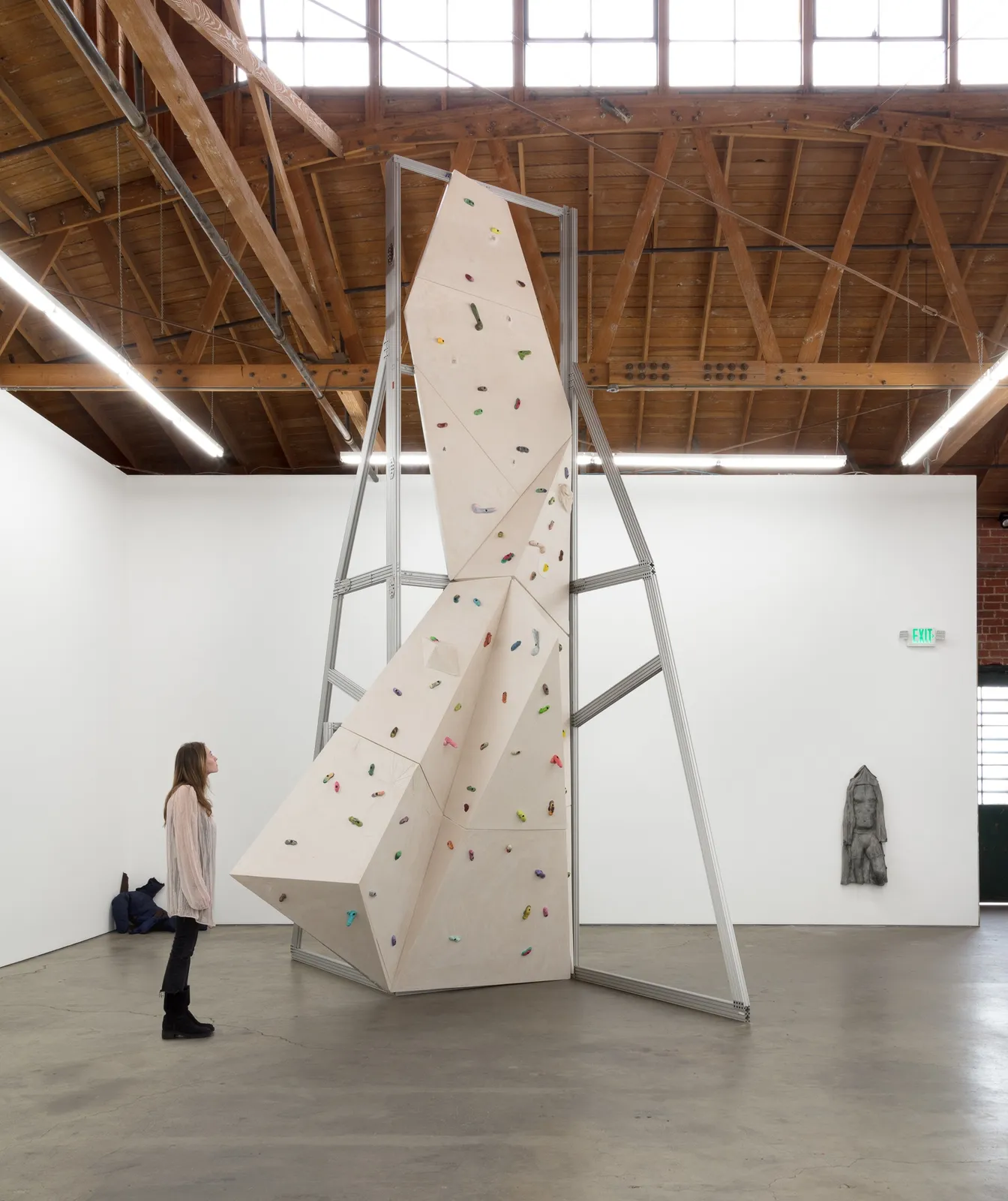 Andra Ursuta, Alps 5, 2016