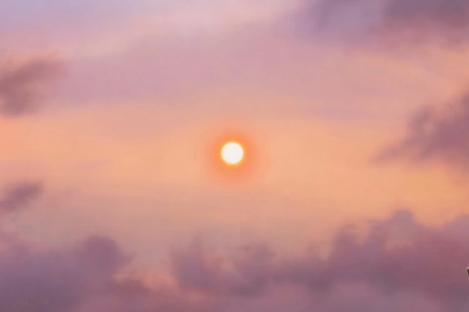 Sayre Gomez, The Medici.com, 2022