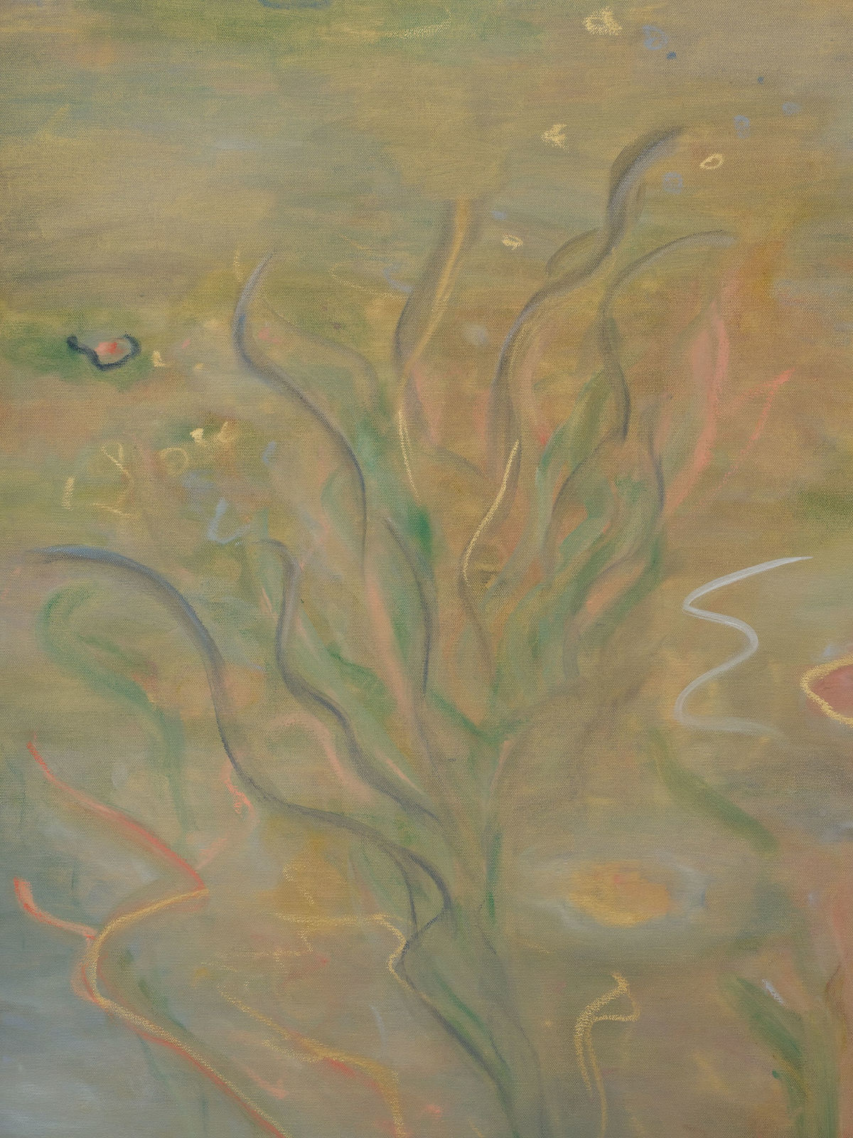 Ash Roberts, Anemone, 2025